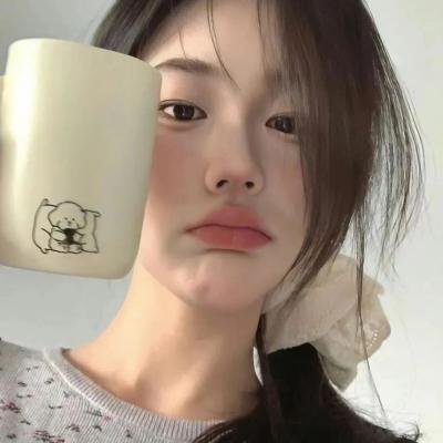 胡同猫